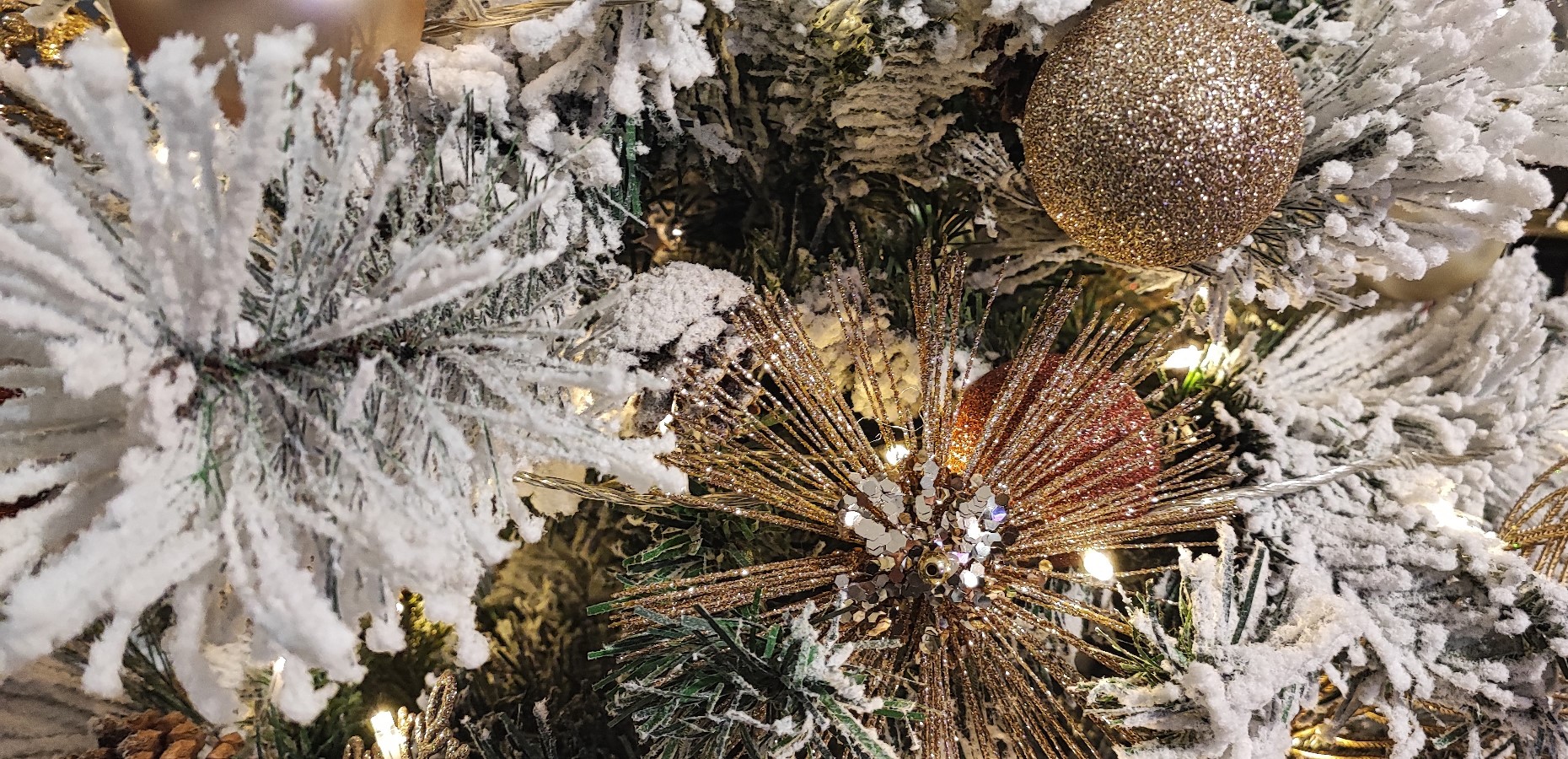 Your wish is my command